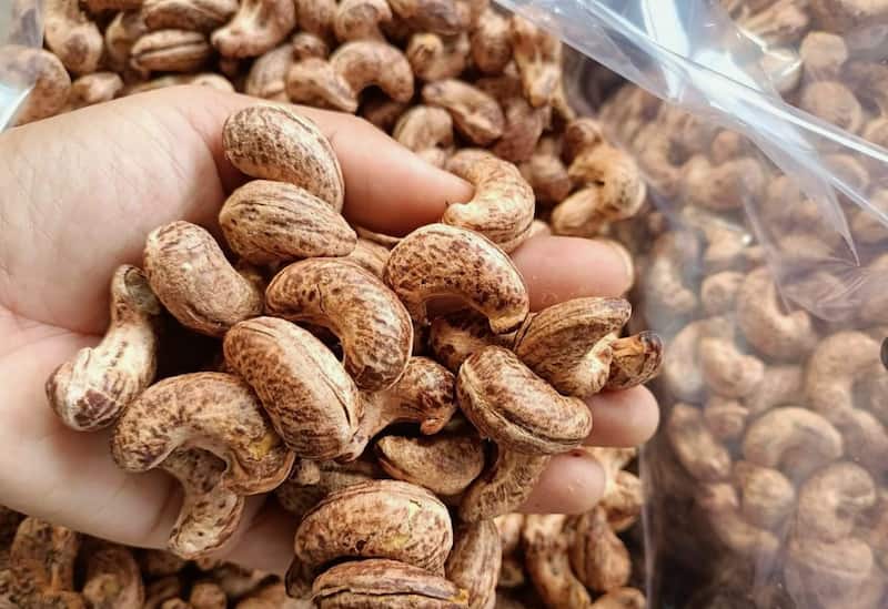 بادام هندی با پوست بسته بندی مناسب نگهداری طولانی مدت